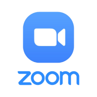 1. Zoom Lesson 1 hrs for $17
